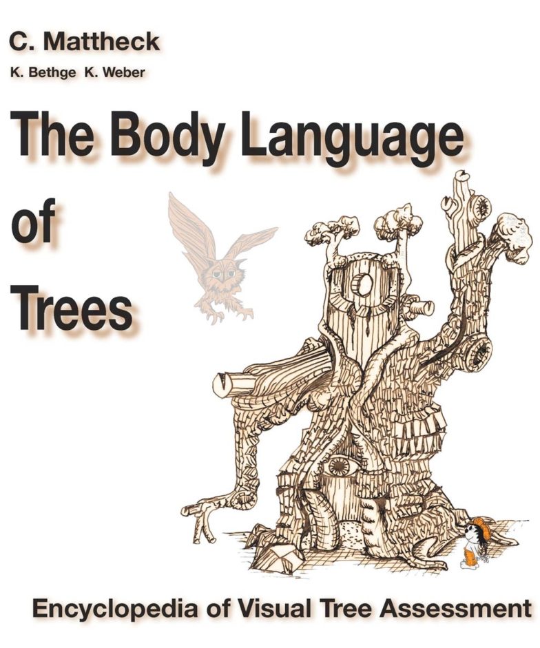 Die Körpersprache der Bäume