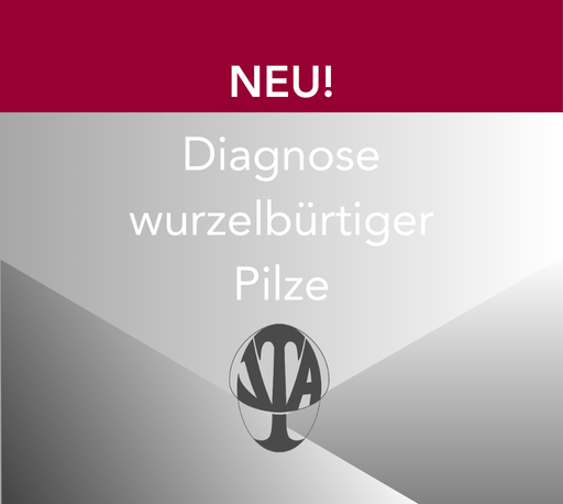 VTA - Diagnose wurzelbürtiger Pilze