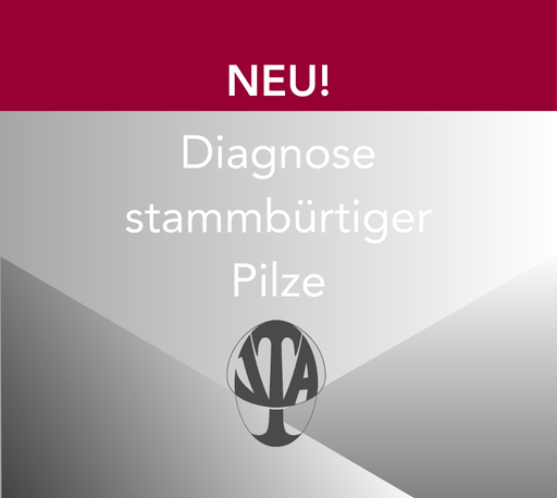 VTA - Diagnose stammbürtiger Pilze