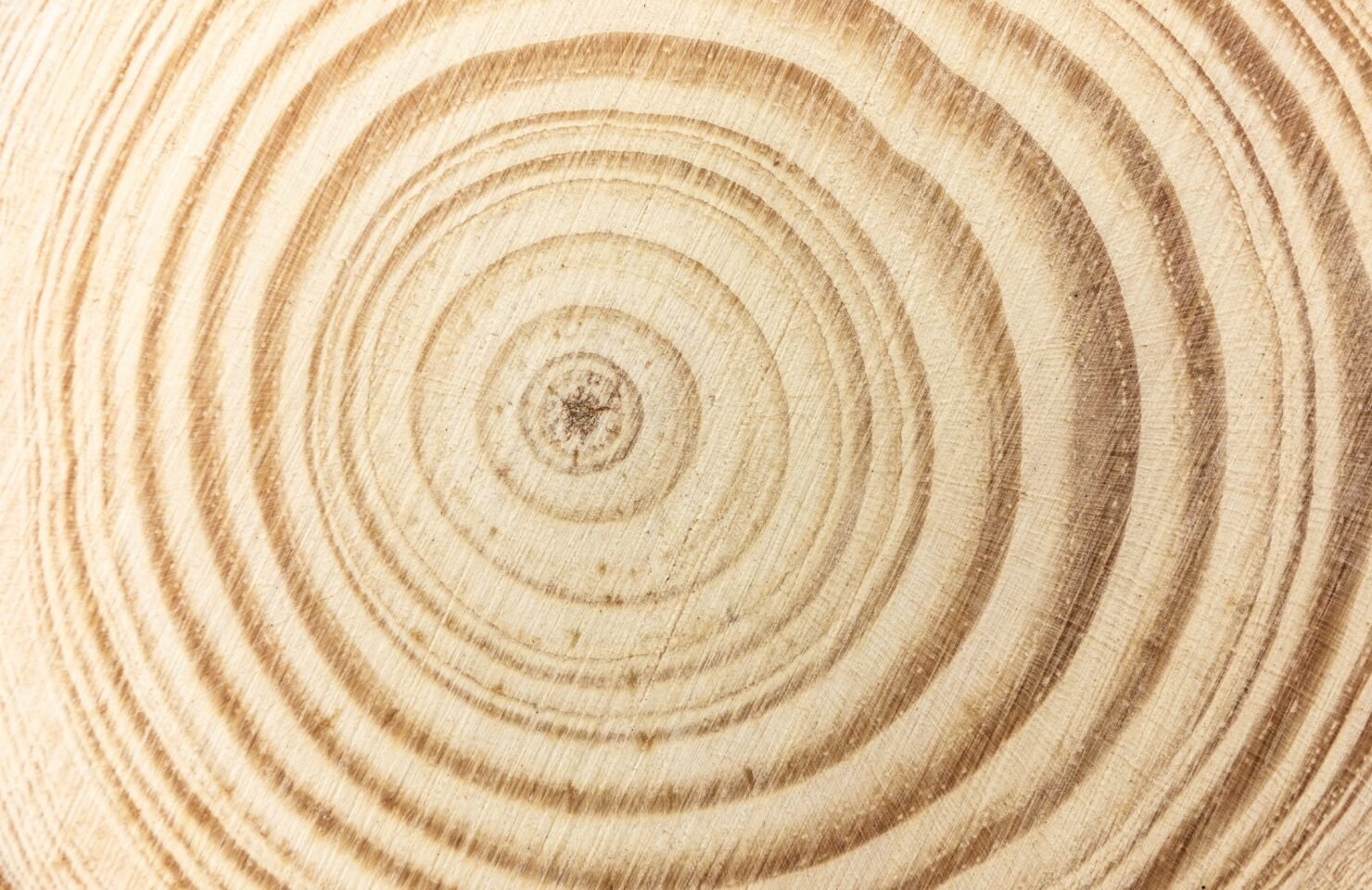 Holzanalyse: Warum Messkurven abflachen können